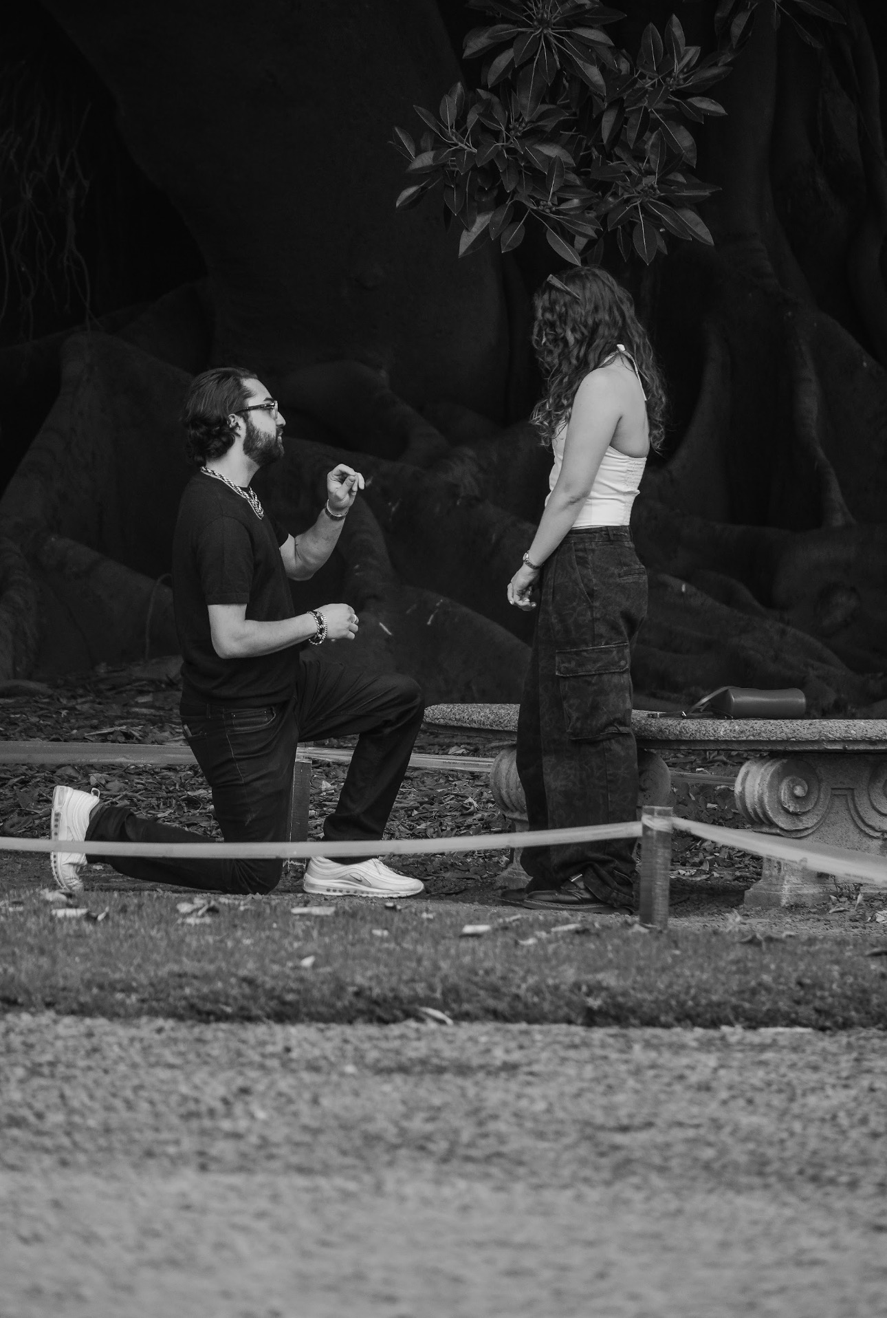 Alex proposing to Mica beneath a large tree